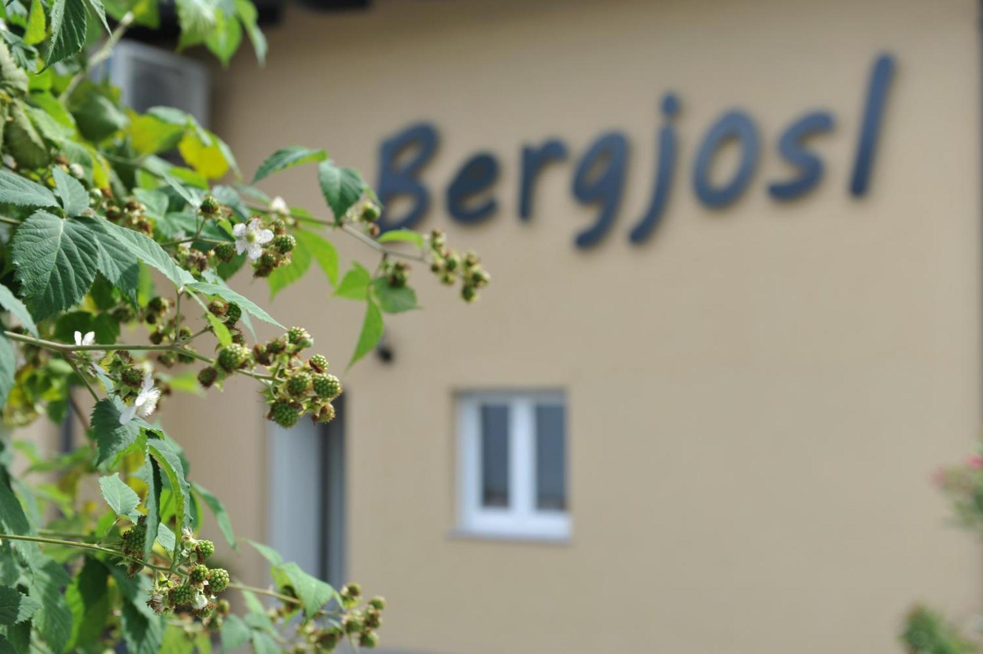 Beim Bergjosl Apartment Kirchbach in Steiermark Exterior photo